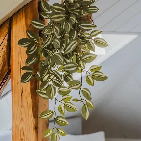 Staylight Penthouse In Hildesheims Philosophen Viertel *